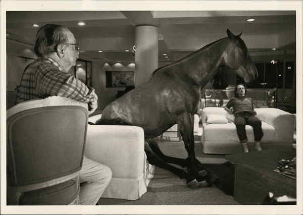 On the Set of Hot to Trot Movie and Television Advertising