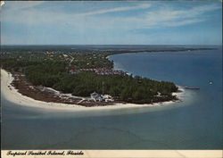 Tropical Sanibel Island Florida Postcard Postcard Postcard