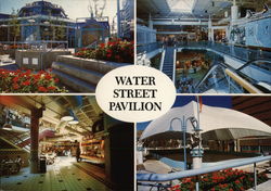 Water Street Pavilion Flint, MI Postcard Postcard Postcard