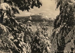 Mount Liberty from Flume-Pool Path in Winter Mount Liberty from Flume-Pool Path in Winter