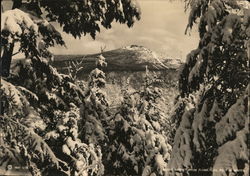 Mount Liberty from Flume-Pool Path in Winter White Mountains, NH Postcard Postcard Postcard