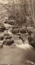 Falls Jorden Stream Mount Desert, ME Postcard Postcard Postcard