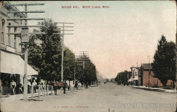 Wilcox Ave White Cloud Michigan