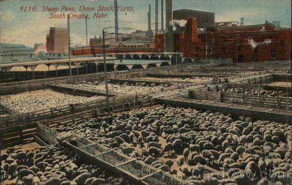 Sheep Pens, Union Stock Yards South Omaha Nebraska