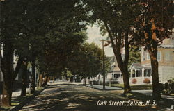 Oak Street Postcard