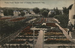 Fields Flower Garden (east of Studio) Postcard