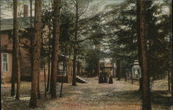 Edgewood Park Postcard