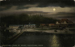 Macatawa Park By Night Michigan Postcard Postcard Postcard