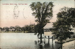 Elm Beach, Maple Lake Postcard