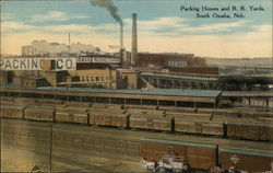 Packing House and R.R. Yards Postcard