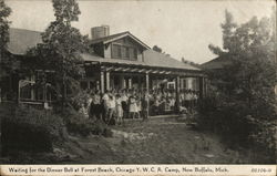 Waiting for the Dinner Bell at Forest Beach Postcard