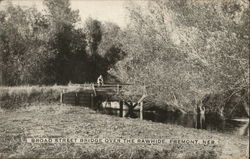 Broad Street Bridge Over The Rawhide Postcard