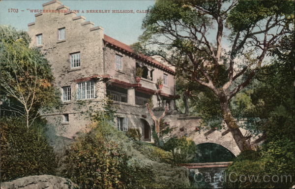 Welterrebben on a Berkeley Hillside California