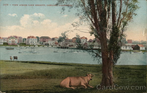 View Across Lake Merritt Oakland California