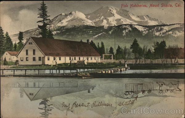 Fish Hatcheries Mount Shasta California