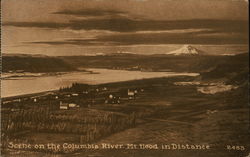 Scene on the Columbia River, Mt. Hood in Distance. Postcard