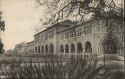 Hyde's Book Store, Sanford University Postcard
