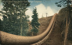 48-inch Wood Pipe, Pacific Tank & Pipe Company San Francisco, CA Postcard Postcard Postcard