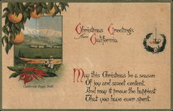 Christmas Greetings From California Postcard Postcard Postcard