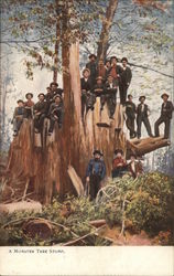 A Monster Tree Stump Postcard