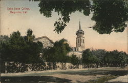 Notre Dame College Postcard