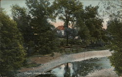 Creek Scene Creek Scene