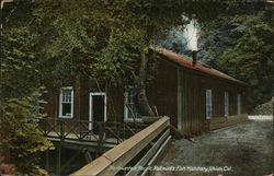 Northwestern Pacific Railroads Fish Hatchery Ukiah, CA Postcard Postcard Postcard
