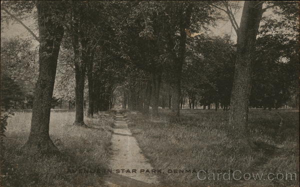 Avenue in Star Park Denmark Iowa
