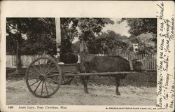 Aunt Lucy Pass Christian, MS Postcard Postcard Postcard