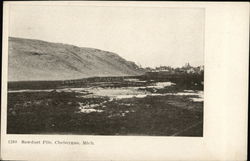 Sawdust Pile Cheboygan, MI Postcard Postcard Postcard