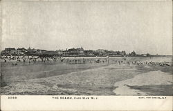 The Beach Cape May, NJ Postcard Postcard Postcard