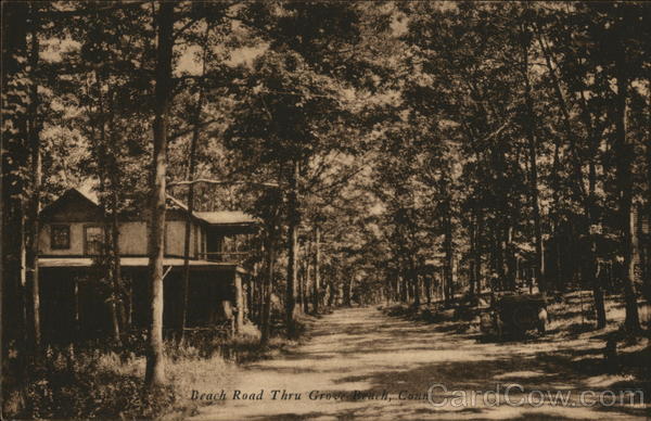 Beach Road Thru Grove Beach Connecticut