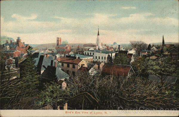 Bird's Eye View Lyons New York