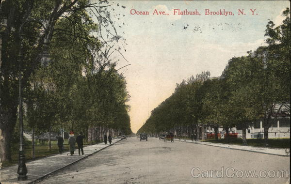 Ocean Ave., Flatbush Brooklyn New York