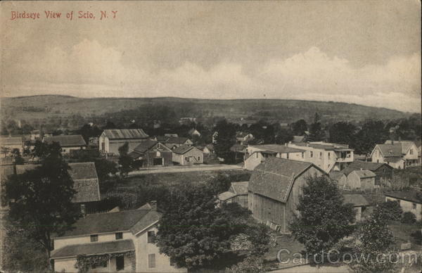 Birdseye View Scio New York