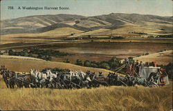 758. A Washington Harvest Scene. Spokane, WA Postcard Postcard Postcard