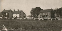 One of the Many Herds, Hershey Chocolate Company Postcard