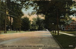 Upper Residential Section, Madison Ave. Albany, NY Postcard Postcard Postcard