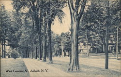 West Genesee St. Auburn, NY Postcard Postcard Postcard