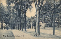 West Genesee St. Postcard