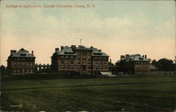 College of Agriculture, Cornell University Ithaca, NY Postcard Postcard Postcard