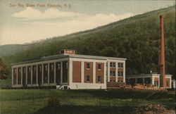 Sun Ray Water Plant Postcard