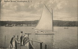 Harbor Scene Postcard