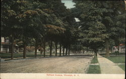 Oakland Avenue Warwick, NY Postcard Postcard Postcard