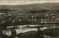 Birds-Eye View from Mt. Moses Sidney, NY Postcard Postcard Postcard