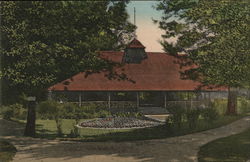 Cascade Park Postcard