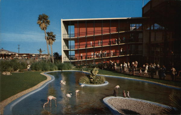 Flamingo and Penguin Pool, Marineland of the Pacific Los Angeles California