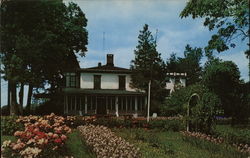 The Windmill Postcard