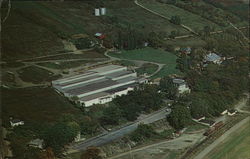 The Taylor Winery Hammondsport, NY Postcard Postcard Postcard