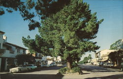 Ocean Avenue Postcard